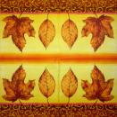 001 Pflanzen - 3 lagig - Molca